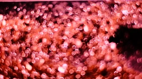 Slow motion of abstract sparkle on black background Stock Footage 239506604