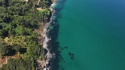 Slow Motion Aerial Drone View of Emerald Sea Water and Lush Green Forested Coast Stock Footage 341530844