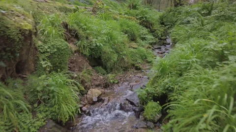 Slow motion aerial looking back following a woodland stream Stock Footage 252531893