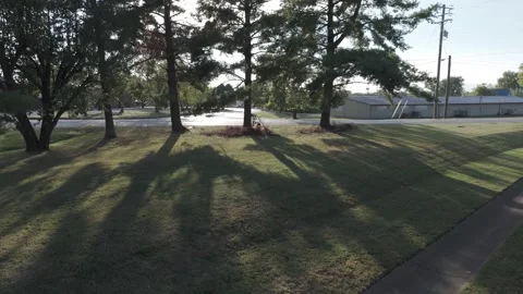 Slow motion aerial over park grass with long tree shadows at sunset Stock Footage 346731943