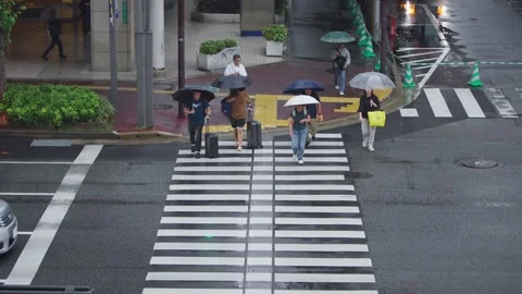 Slow motion aerial perspective of people with umbrellas walking on wet crosswalk Stock Footage 331864855