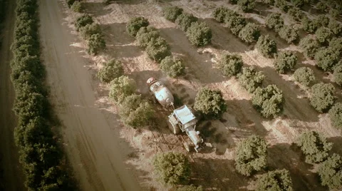 Slow motion aerial top view of a tractor on an oranges field. Seville, Spain. Stock Footage 40549849