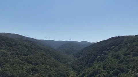 Slow Motion Aerial View Flying Through Forested Valley toward Blue Sea Stock Footage 341531650