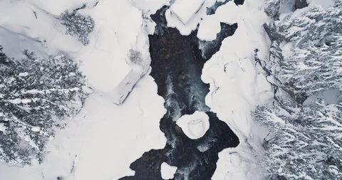 Slow Motion Aerial View Of Winter Forest Scene Video stock 124233388