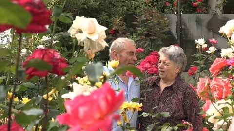 Slow motion of affectionate senior couple talking in rose garden Vídeos de archivo 97761657