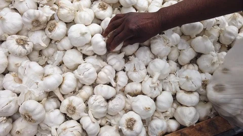 Slow motion of african person sorting garlic bulbs, allium, sativum in a market Video stock 120274816