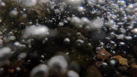 Slow motion of air bubbles in clear river water Stock-Footage 307432440