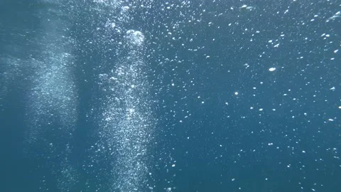 Slow motion of air bubbles floating from sea bottom to the water surface. Video stock 130227114