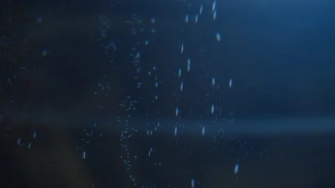 Slow motion air bubbles in water rising up to the surface . Slowmotion air Video stock 195513397