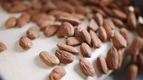Slow motion of Almonds falling from a conveyor belt in a processing facility Stock Footage 220582228