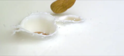 Slow motion almonds falling into milk. Milky splash. Commercial shot Stock Footage 323439134