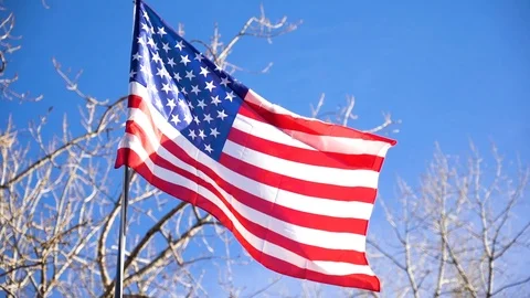 Slow Motion American Flag in Winter with Blue Sky and Tree in Background Stock Footage 100272698