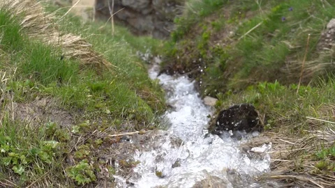 Slow Motion and Close Up of a Mountain Stream Stock Footage 90900861
