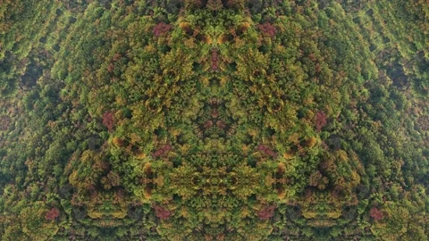 Slow Motion and Computer Graphics. Funny kaleidoscope background from moving tre Stock Footage 233029321