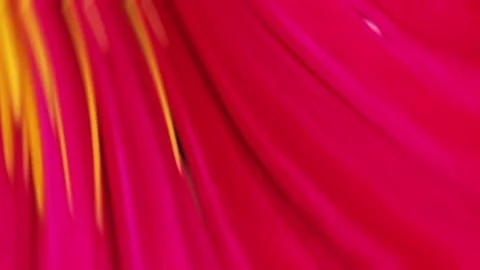 Slow motion animated line effect with elegant, flowing strokes Video stock 307501248