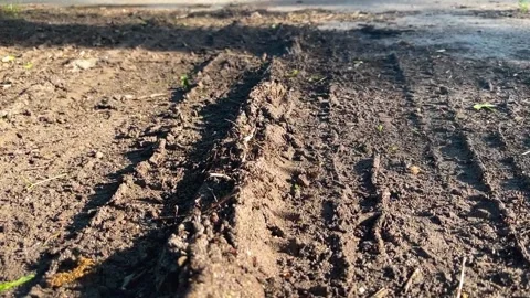 Slow motion of ants moving along a rural dirt path in farmland 库存影片 311996014