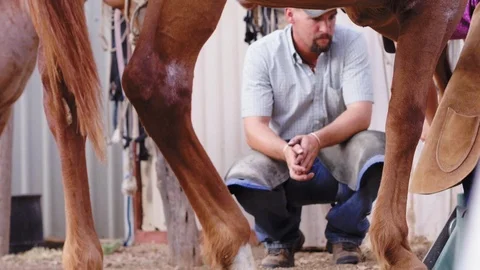 Slow motion of an apprentice Farrier learning techniques from her teacher, Stock Footage 104319512