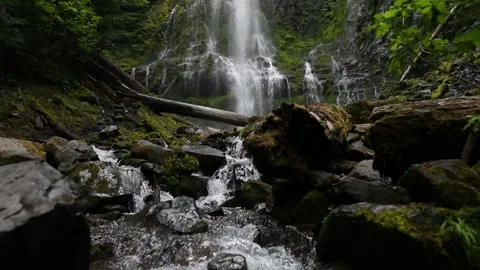 Slow Motion Approach to Lower Proxy Falls, Oregon Stock Footage 144413205