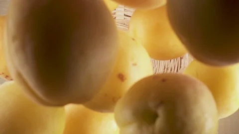 Slow motion apricots fall into the basket from under the camera Stock Footage 90991168