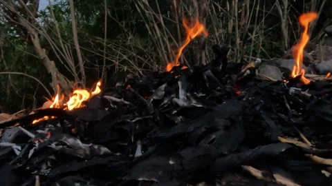Slow motion of ash from burnt dry bamboo leaves Stock Footage 322909480