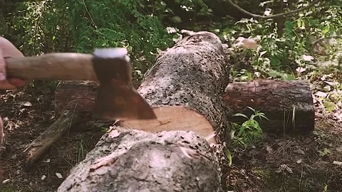 Slow motion. The axe cuts down the tree. construction. Stock Footage 156937956