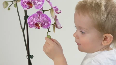 Slow motion. baby boy with blue eyes 库存影片 101337625