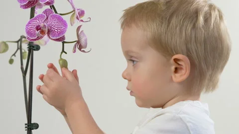 Slow motion. baby boy with blue eyes 库存影片 101338469