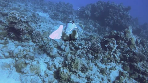 Slow motion back behind view of a female woman diver wearing half wet suit with  Video stock 259466856