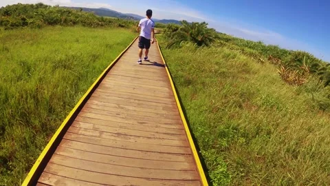 Slow motion back view of a Asian male walking along the wooden walkway with gree Stock Footage 279141155