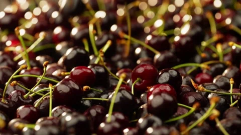 Slow motion background video of the fruit of the cherry tree falling Stock Footage 278828037