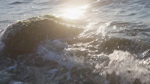 Slow Motion Backlit Waves Hitting Moss-Covered Rocks at Dusk in Vladivostok Stock Footage 344307825