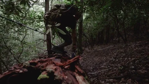SLOW MOTION BACKPACKERS CLIMBING OVER A LOG IN THICK FOREST Stock Footage 84224107