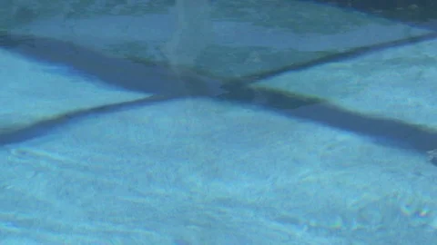 Slow motion of a ball hitting the water in a pool, then floating away Stock Footage 113938478
