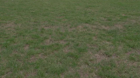 Slow motion of a ball rolling in front Stock Footage 153378170