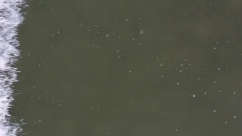 Slow motion beach and surf Stock Footage 123507033