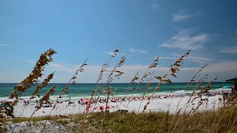 Slow motion beach and waves in Destin, Florida 库存影片 125533643