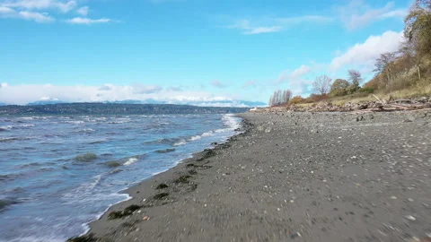 Slow Motion Beach Comb Nice Day 1080p 库存影片 145176173