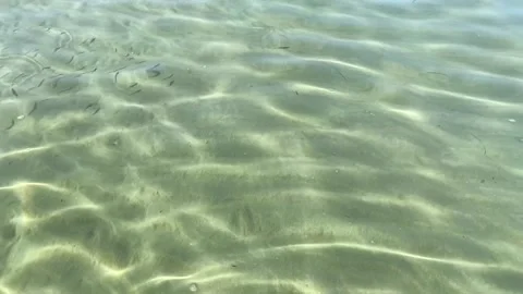 Slow motion of beautiful clear sea with small fishes close up. Beauty of nature Stock Footage 201320189