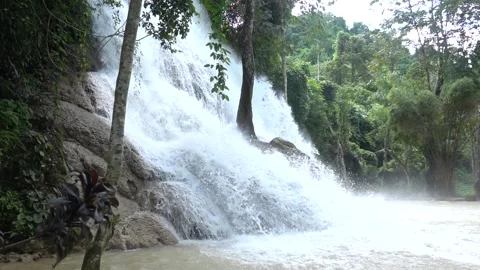 Slow motion of Beautiful Clear Waterfall Cascade In Tropical Rainforest Stock Footage 255030336