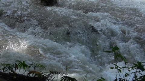 Slow motion of Beautiful Clear Waterfall Cascade In Tropical Rainforest Stock Footage 255030710