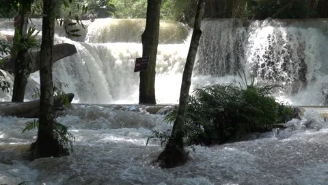 Slow motion of Beautiful Clear Waterfall Cascade In Tropical Rainforest Video stock 255030711