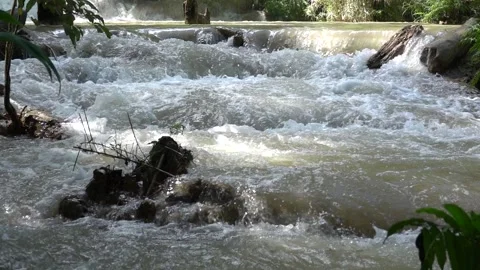 Slow motion of Beautiful Clear Waterfall Cascade In Tropical Rainforest Stock Footage 255030768