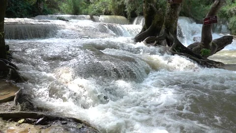 Slow motion of Beautiful Clear Waterfall Cascade In Tropical Rainforest Stock Footage 255030779
