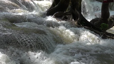 Slow motion of Beautiful Clear Waterfall Cascade In Tropical Rainforest Stock Footage 255030804
