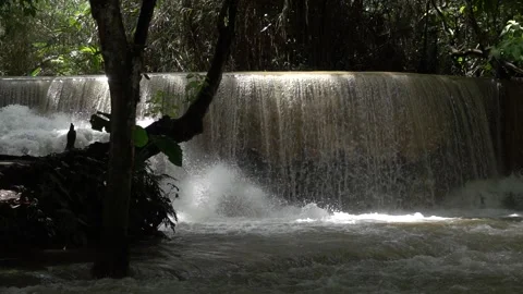 Slow motion of Beautiful Clear Waterfall Cascade In Tropical Rainforest Stock Footage 255030890