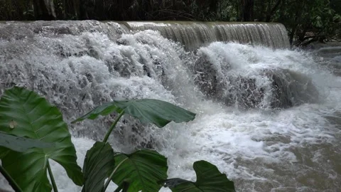 Slow motion of Beautiful Clear Waterfall Cascade In Tropical Rainforest Stock Footage 255031177