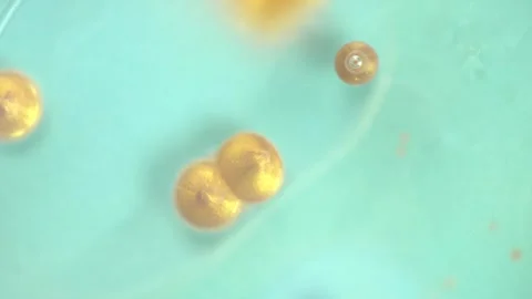 Slow motion beautiful light blue surface with golden paint bubbles, macro. Stock Footage 273777226
