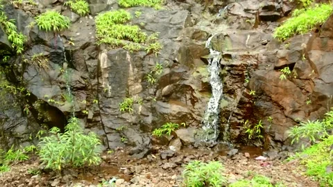 Slow motion of a beautiful Waterfall through the forest Stock Footage 232115564
