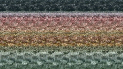 Slow motion bee on Sunflower Stock Footage 114504958