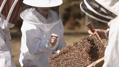 Slow Motion Beekeepers Stock Footage 91042643